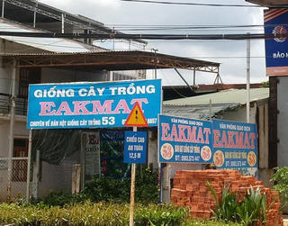 Ma trận giống cây trồng bủa vây người dân