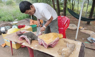 Thịt thú rừng bày bán công khai