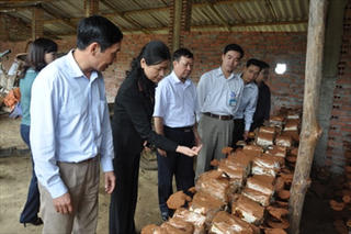 Quảng Ninh: Phấn đấu không còn thôn, xã đặc biệt khó khăn