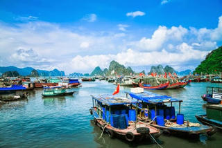 Quảng Ninh giao 1 công ty tư nhân ‘quản’ cảng, bến khách Cái Rồng và Cô Tô