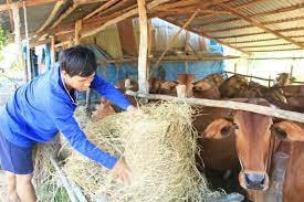 Dưới mái ấm mang tên đoàn kết