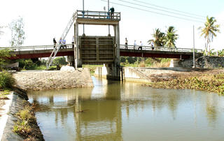 Đồng bằng sông Cửu Long: Gần tết, lo chống mặn