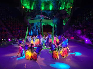 Kho báu rừng xanh