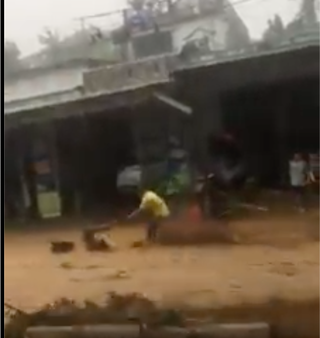 [VIDEO] Lũ cuốn trôi người, tài sản ở Nam Trà My, Quảng Nam