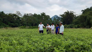Người Mông thoát nghèo