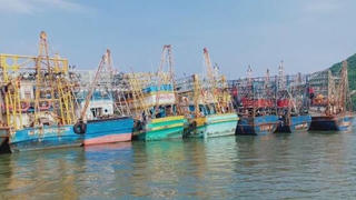 Bảo hiểm cho tàu 67 tại Bình Định: Vẫn ‘bóng chim tăm cá’