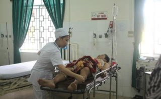 Hôn mê sâu vì ăn cá nóc