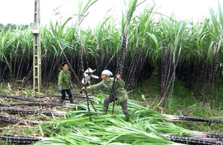 Kim Bôi (Hòa Bình): Chú trọng công tác hỗ trợ đồng bào dân tộc thiểu số