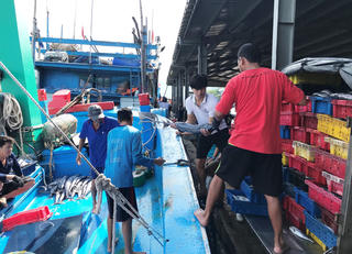 Bình Định hỗ trợ kinh phí cho tàu đánh bắt xa bờ