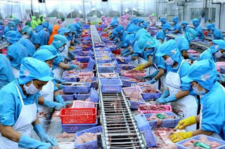 Lo xuất khẩu thuỷ sản tuột dốc