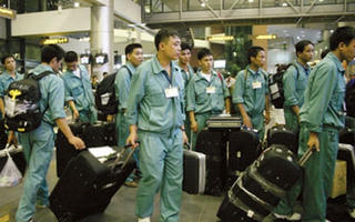 Lao động từ Hàn Quốc trở về được săn đón