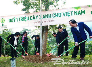 Hành trình về nguồn của Vinamilk và Quỹ 1 triệu cây xanh tại Cao Bằng