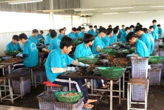 Hiệu quả từ mô hình cai nghiện bằng Cedemex
