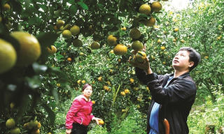 Tuyên Quang: 87,9% số hộ đạt danh hiệu Gia đình văn hóa