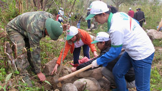 Khởi động Tháng Thanh niên, hưởng ứng Tết trồng cây và Tháng Ba biên giới