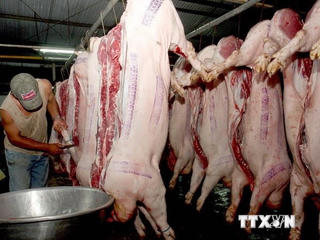 Chờ công nghệ sạch