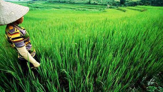 Thay đổi, nói dễ hơn làm