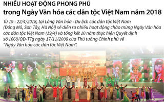 [Infographics] Nhiều hoạt động trong Ngày Văn hóa các dân tộc Việt Nam