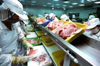 Quản lý an toàn thức ăn: 'Chặt' cho vật nuôi, 'lỏng' cho người, được sao?