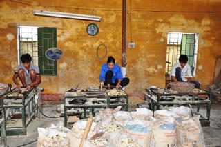Tiến hành khảo sát mức sống dân cư