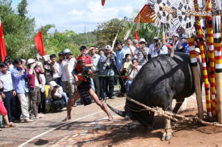 Thừa Thiên - Huế:  Trả lại số tiền người dân đã đóng góp cho Lễ hội đâm trâu