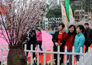 Quảng Nam: 2 tháng đầu năm, hơn 840.000 lượt khách tham quan, lưu trú