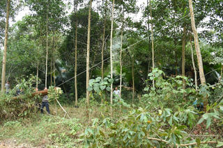 Điểm sáng nông thôn mới