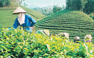 Na Hang (Tuyên Quang): Nhân rộng điển hình hay, cách làm sáng tạo