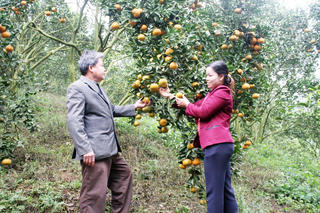 Khi người dân là chủ thể xây dựng nông thôn mới