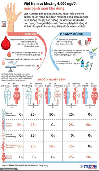 [Infographics] Việt Nam có khoảng 6.000 người mắc bệnh máu khó đông