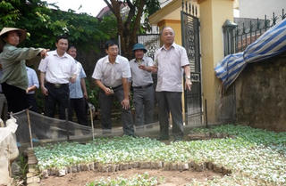 Sử dụng thuốc bảo vệ thực vật cần sự giám sát của người dân