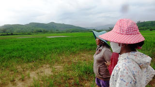 Đất của nhà máy gạch trôi xuống đồng ruộng : Người dân không thể sản xuất