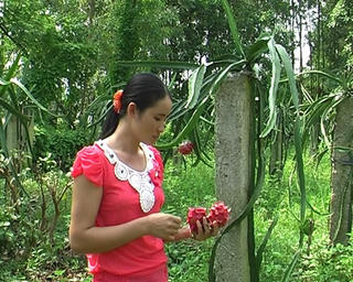 Xây dựng Nông thôn mới: Cách làm hay của Ngọc Mỹ