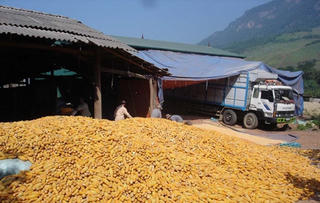 “Bà đỡ” nông dân - chưa như kỳ vọng