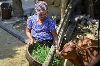 Hòa Bình: Phấn đấu các huyện, xã nghèo giảm tỷ lệ bình quân mỗi năm từ 4 - 5%