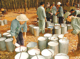 Giữ vững đà tăng trưởng