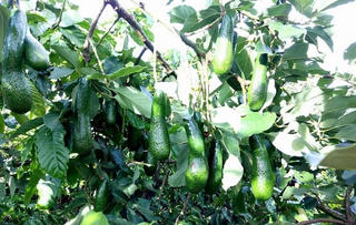 Tín hiệu vui từ cuộc sống