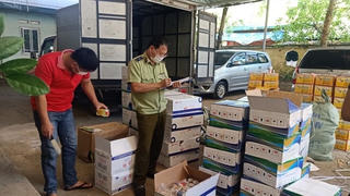 Ngăn chặn vi phạm trong sản xuất, kinh doanh phân bón