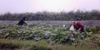 Đổi mới ở thôn Đông