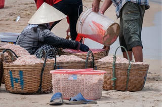 Kết quả kiểm nghiệm loại bột màu dùng nhuộm đỏ ruốc tại Phú Yên