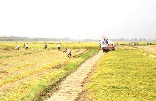 Chương Mỹ (Hà Nội): Phấn đấu có thêm 5 xã đạt chuẩn nông thôn mới