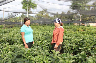 Chi hội phụ nữ 5 không, 3 sạch, xây dựng nông thôn mới tại xã Krông Na