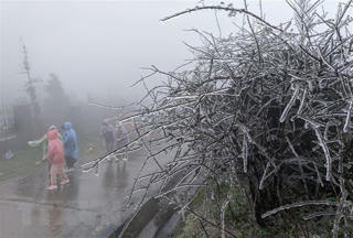 Hà Nội trời rét hại, thấp nhất 8-11 độ C