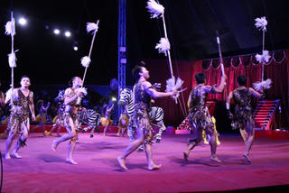 Liên hoan Xiếc quốc tế 2016