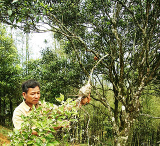 Tỷ phú trên miền đất cằn