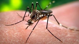 Phát hiện thêm 3 ca nhiễm virus Zika