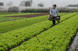 Tìm lại chính mình