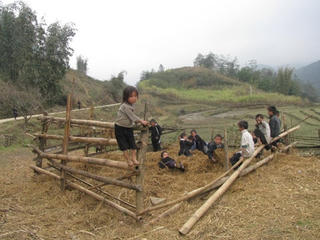 Vui chơi ngày hè