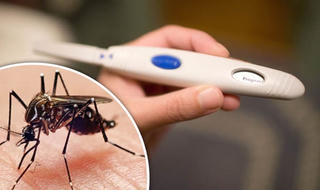 Thêm 2 bệnh nhân nữ nhiễm virus Zika ở TP Hồ Chí Minh: Theo dõi chặt chẽ các ca mắc Zika