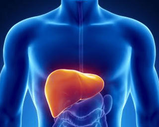 Viêm gan C dẫn tới xơ gan và ung thư gan